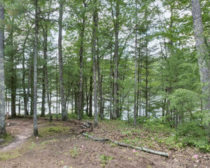 Screenshot 2025-05-28 at 3.14.54 AM